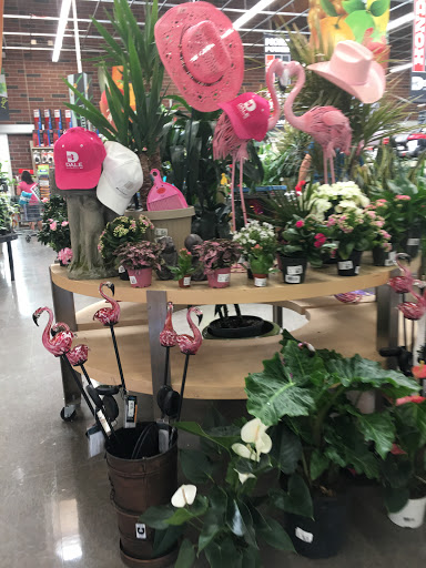 Hardware Store «Dale Hardware Inc», reviews and photos, 3700 Thornton Ave, Fremont, CA 94536, USA