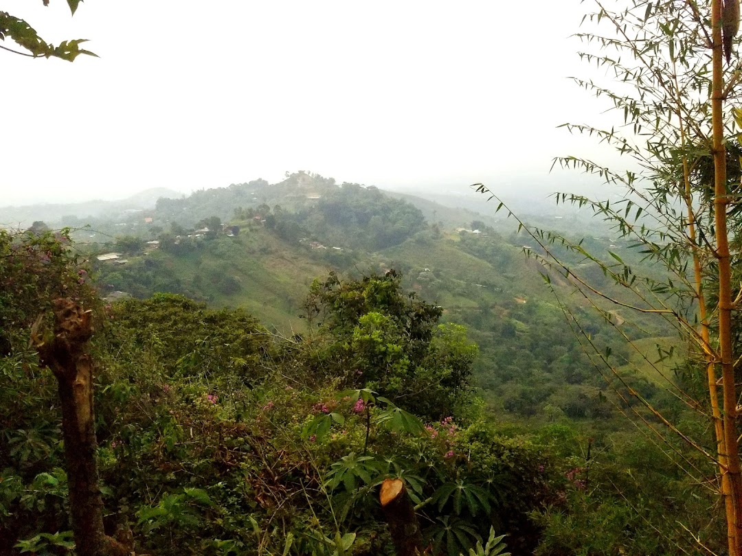 Finca Las Nubes,El Rosario