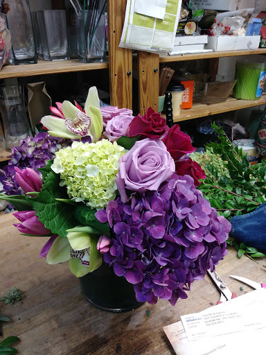 Florist «Amaranth Florist», reviews and photos, 109 N Essex Ave, Narberth, PA 19072, USA