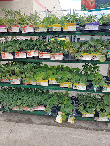 Home Improvement Store «Tractor Supply Co.», reviews and photos, 3184 US-11, Malone, NY 12953, USA