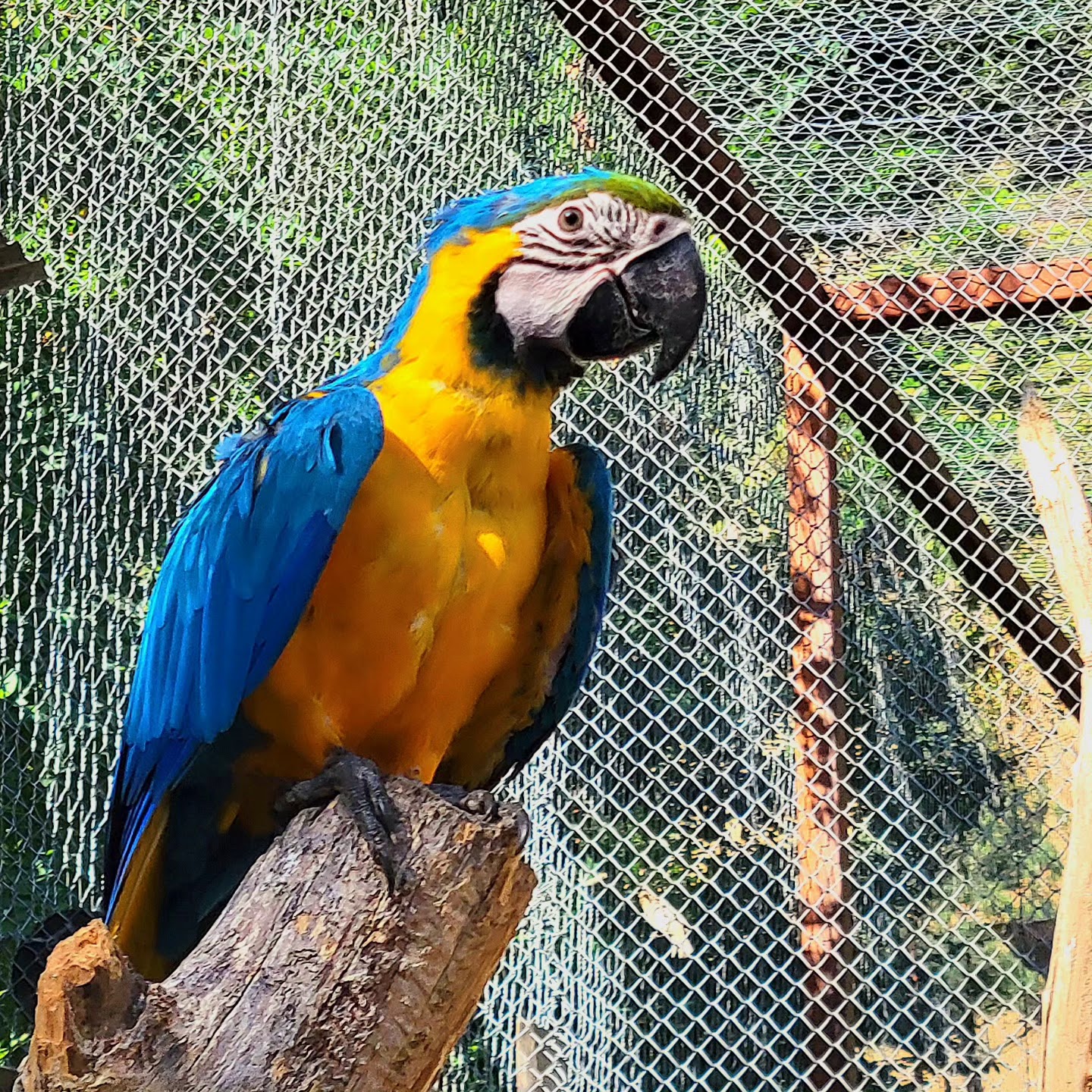 Photo n° 4 de l'avis de Henri.u fait le 24/08/2023 à 07:09