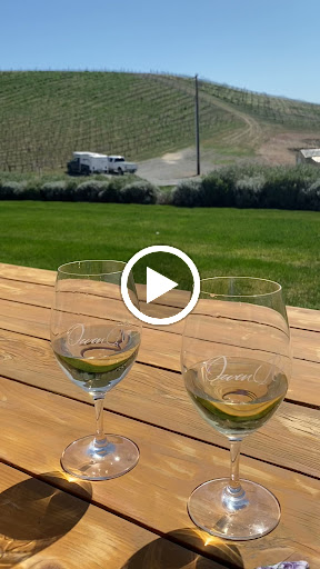 Winery «Owen Roe», reviews and photos, 309 Gangl Rd, Wapato, WA 98951, USA