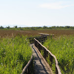 Photo n°2 de l'avis de Bruno.a fait le 10/07/2017 à 11:56 sur le  Le rotonde à Massaciuccoli