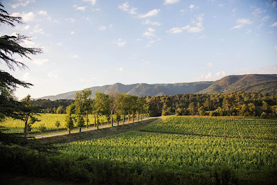 Domaine de Baronarques à Saint-Polycarpe