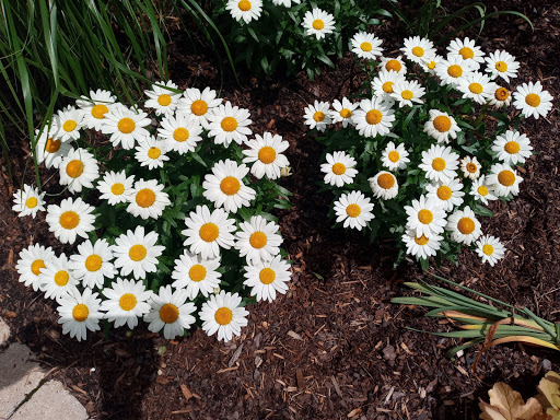 Nature Preserve «Thaddeus S. 