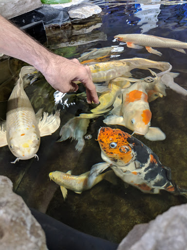 Tropical Fish Store «Aquarium Adventure Superstore», reviews and photos, 3649 Fishinger Blvd, Hilliard, OH 43026, USA