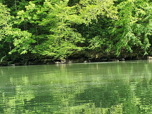 Marina «Mitchell Creek Marina», reviews and photos, 1260 Livingston Boat Dock Rd, Allons, TN 38541, USA