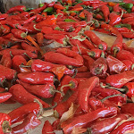 Photo n° 2 de l'avis de Asch. fait le 17/12/2018 à 16:40 pour Les Esfourniaux à Lagarde-d'Apt