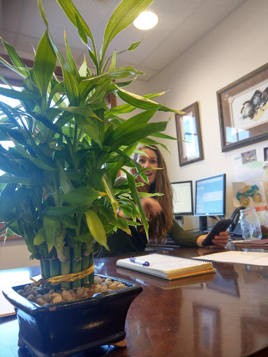 Insurance Agency «Martin Insurance Group», reviews and photos