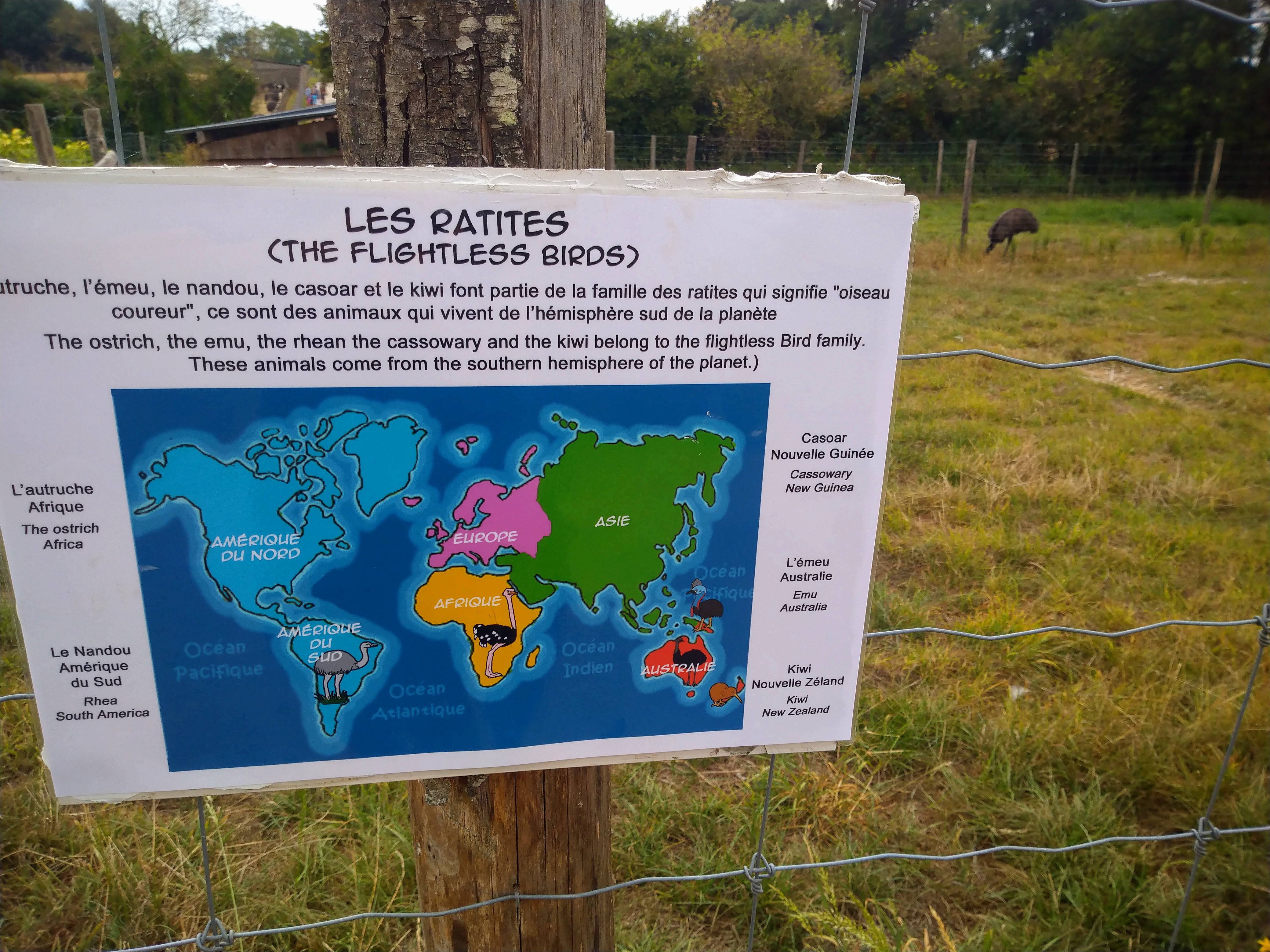 Photo n° 1 de l'avis de Dominique.e fait le 13/08/2020 à 19:03