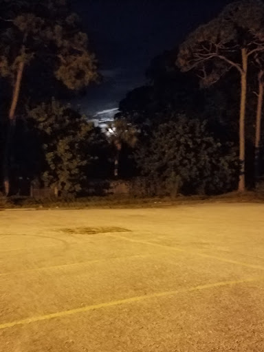 Bowling Alley «AMF Gulf Gate Lanes», reviews and photos, 7221 S Tamiami Trail, Sarasota, FL 34231, USA