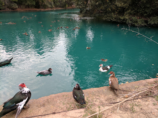 Park «Terry Hershey Park», reviews and photos, 15200 Memorial Dr, Houston, TX 77079, USA