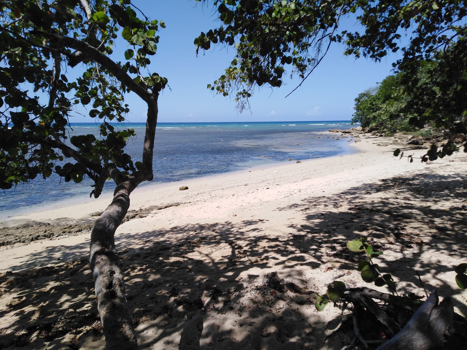 Foto von Playa El Castillo annehmlichkeitenbereich