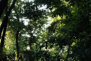 Stadium Woods - photo 75
