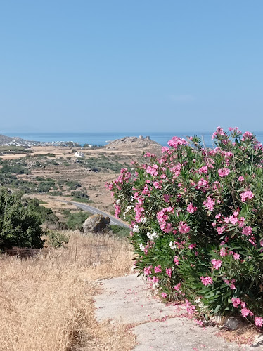 Δημοτικό Σχολείο Αγίου Αρσενίου