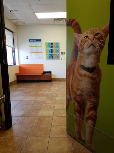 Pet Supply Store «PetSmart», reviews and photos, 1800 Evans Rd, Melbourne, FL 32904, USA