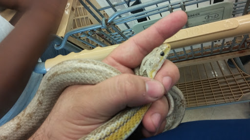 Pet Supply Store «Petco Animal Supplies», reviews and photos, 5975 20th St, Vero Beach, FL 32966, USA