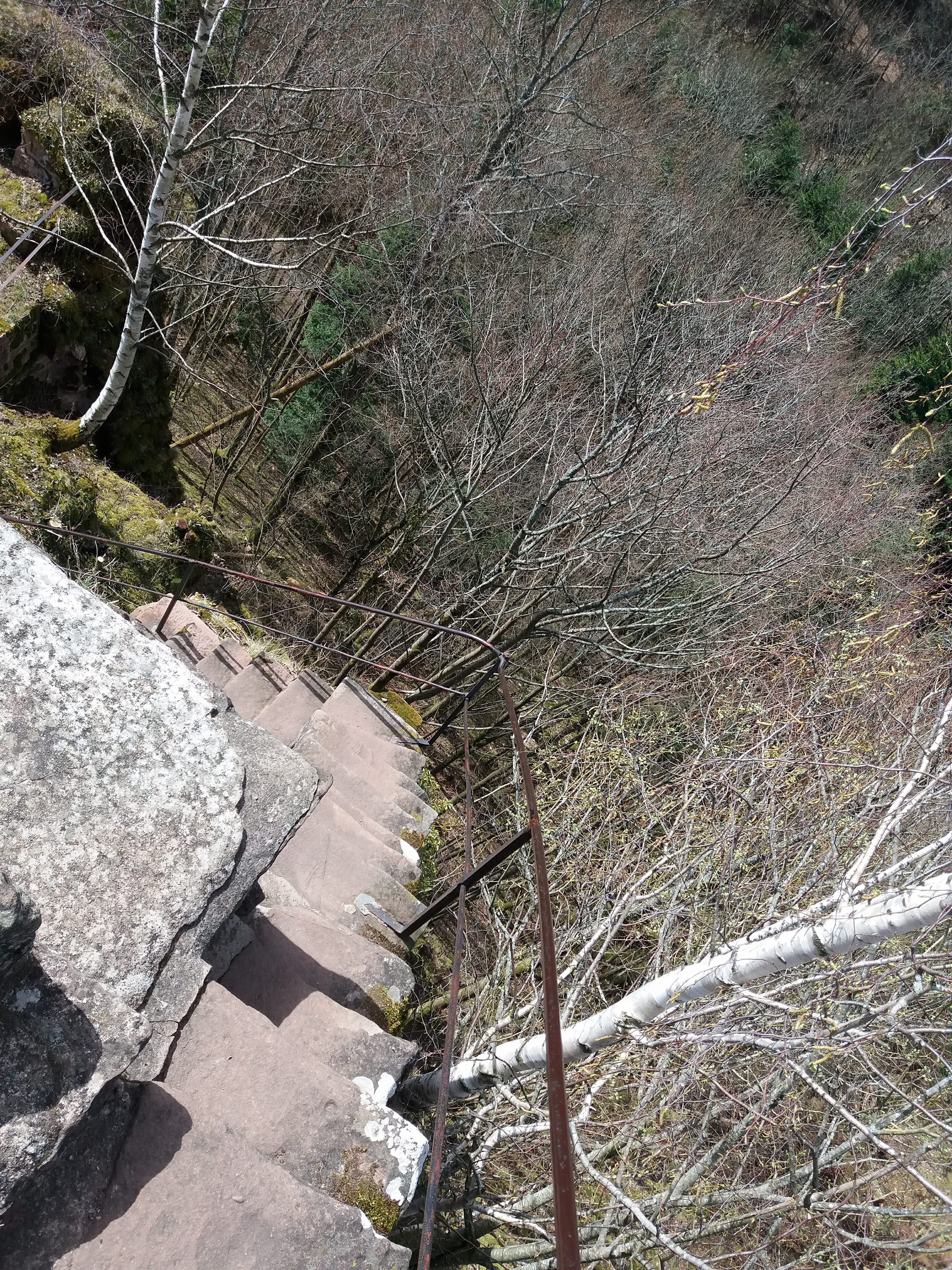 Photo n° 23 de l'avis de yann.a fait le 12/04/2018 à 05:08