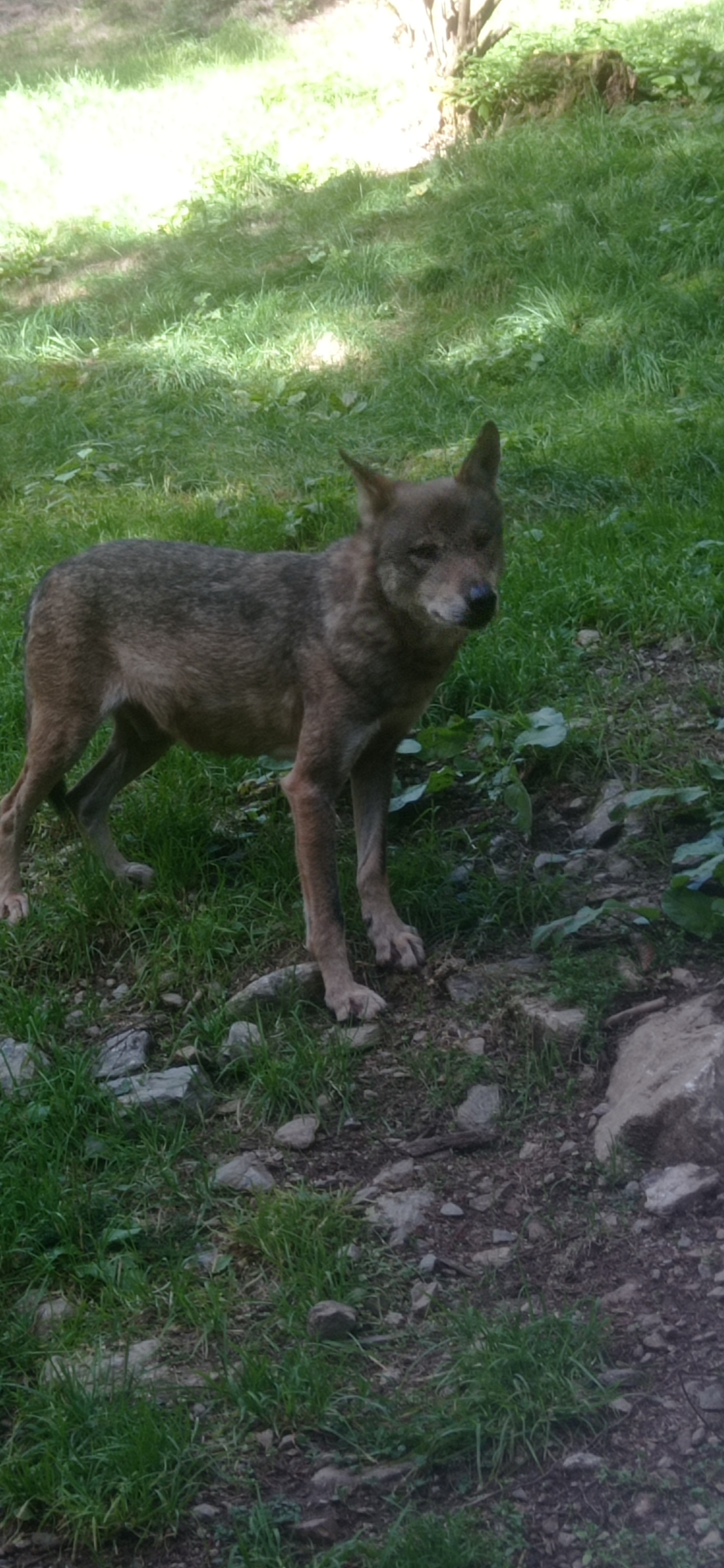 Photo n° 1 de l'avis de Cyril.A fait le 01/10/2022 à 19:11