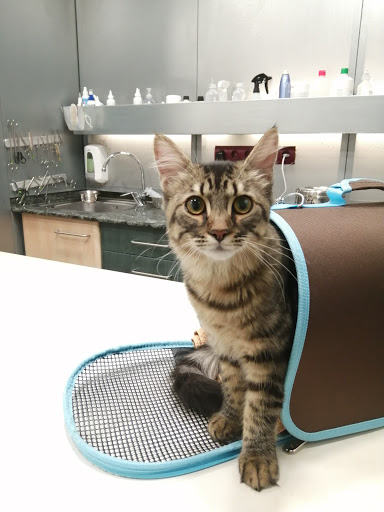 Centro Veterinario Nord en Lleida