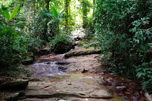 Doi Suthep Hiking Trail (Wat Pha Lat) image