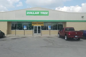 Dollar Tree image