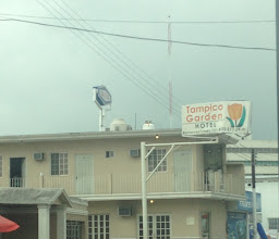 Tampico Garden Hotel photo