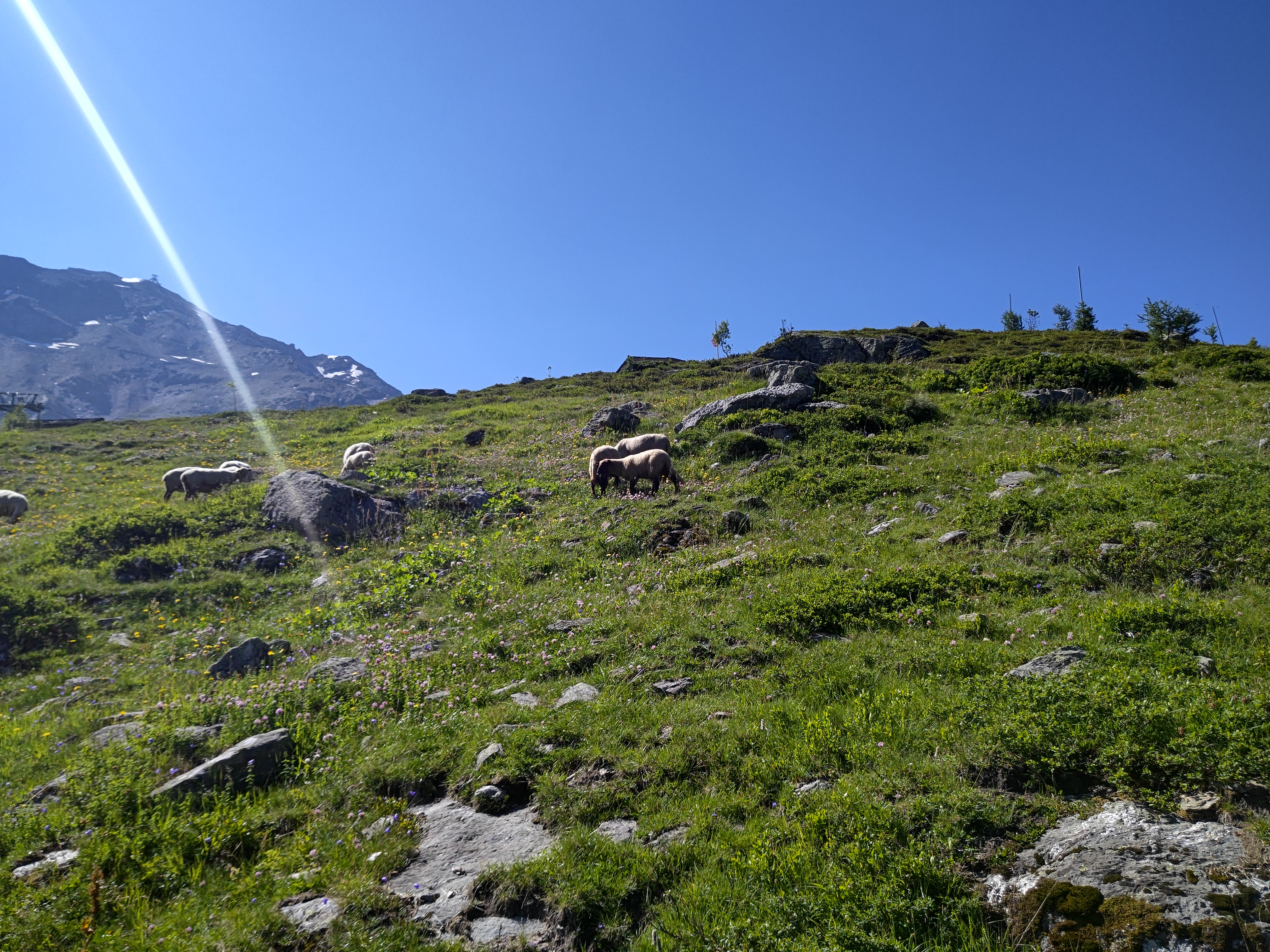 Photo n° 4 de l'avis de adrien.e fait le 24/07/2023 à 17:40