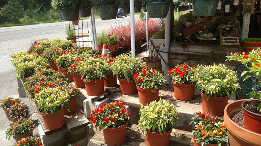 Grocery Store «Red Top Farm Market», reviews and photos, 1801 NJ-70, Southampton Township, NJ 08088, USA