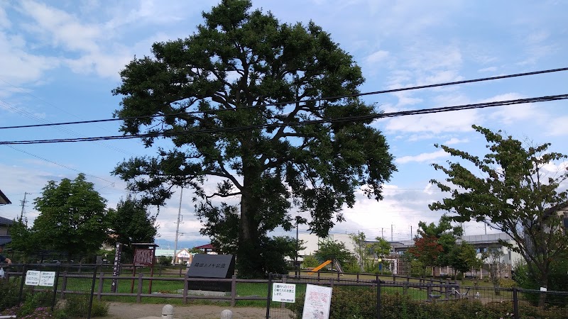 稲田エノキ公園