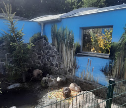 Haustierfarm im Wildpark Leipzig photo