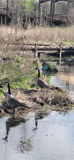 Park «Lippold Park - Fox Valley Park District», reviews and photos, 2001 S River St, Batavia, IL 60510, USA