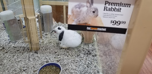 Pet Supply Store «Pet Supermarket, Inc.», reviews and photos, 380 E Michigan St, Orlando, FL 32806, USA