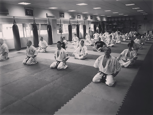 SHOGUN Harcművészeti Központ (Shinkyokushin karate) - Debrecen