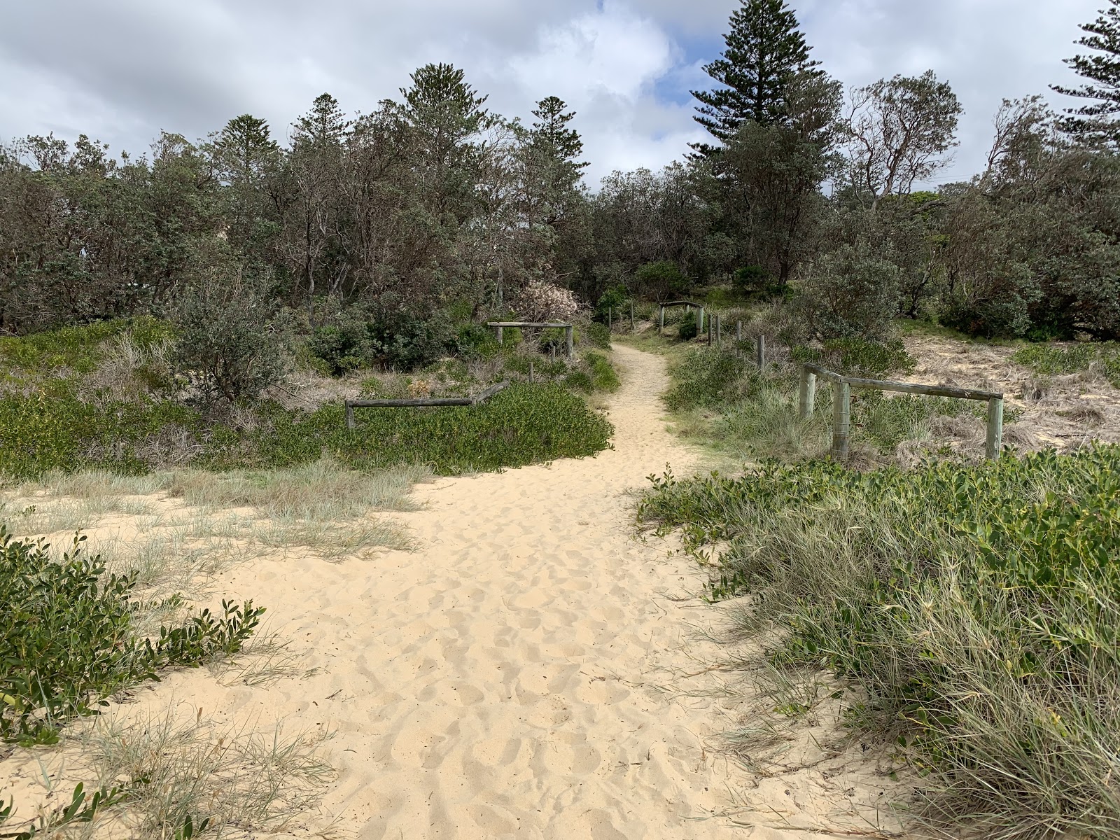 Main Beach photo #8