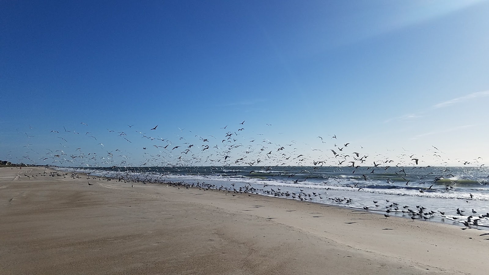 Ocean City beach'in fotoğrafı - tatil için iyi evcil hayvan dostu nokta