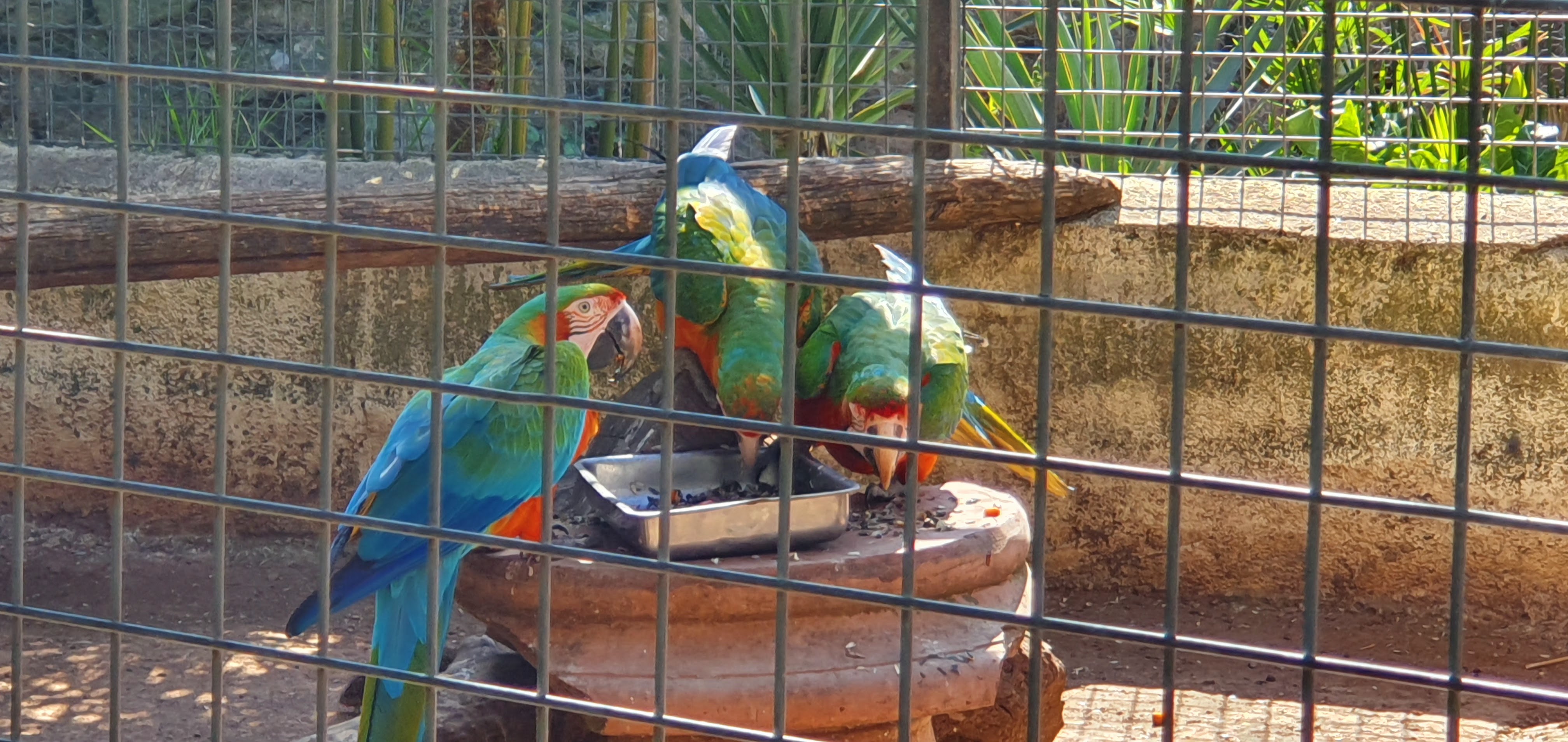 Photo n° 4 de l'avis de Jerome.e fait le 31/03/2019 à 16:29