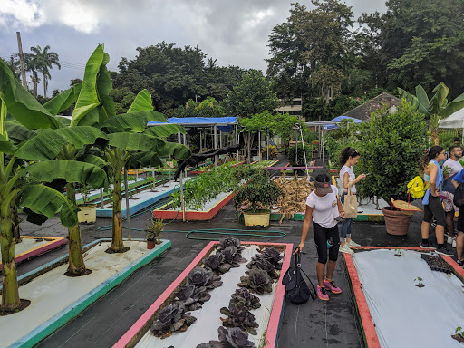 Jardín Botánico de la UPR