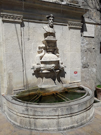 Fontaine Nostradamus du Restaurant Maison Marshall à Saint-Rémy-de-Provence - n°2