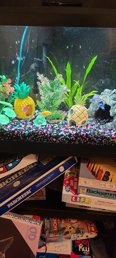 Pet Supply Store «PetSmart», reviews and photos, 19 Clifton Country Rd, Clifton Park, NY 12065, USA