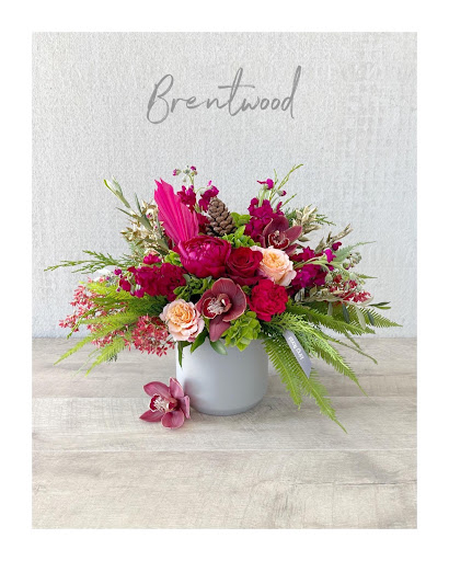 Florist «King florist of Austin», reviews and photos, 1806 W Koenig Ln, Austin, TX 78756, USA