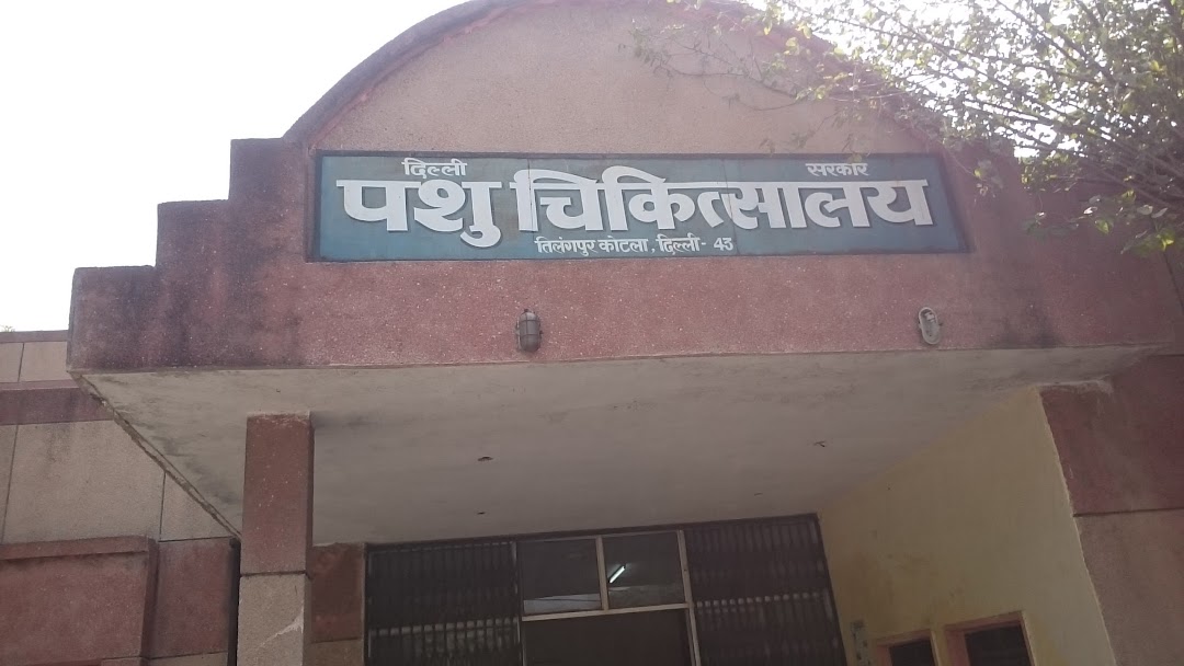 Animal Hospital Delhi Government In The City Delhi