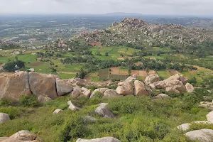 Paparajanahalli Top Viewpoint image