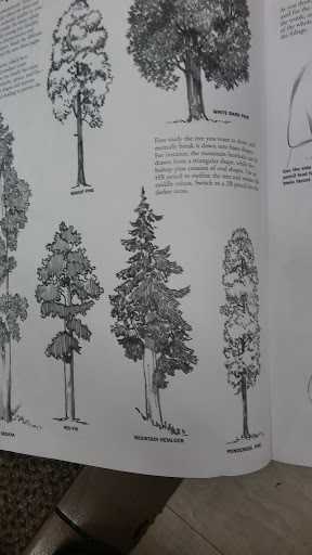 Craft Store «A.C. Moore Arts and Crafts», reviews and photos, 8066 Concord Mills Boulevard, Concord, NC 28027, USA