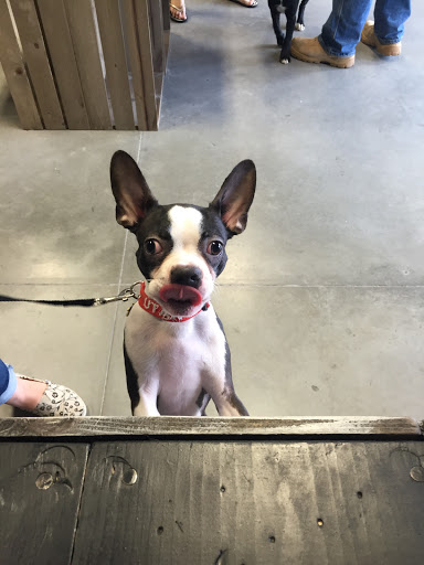 Pet Supply Store «The Animal Park Marketplace», reviews and photos, 744 W Riverdale Rd, Riverdale, UT 84405, USA