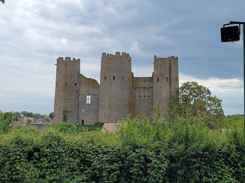 Château de Bourbon-l'Archambault à Bourbon-l'Archambault