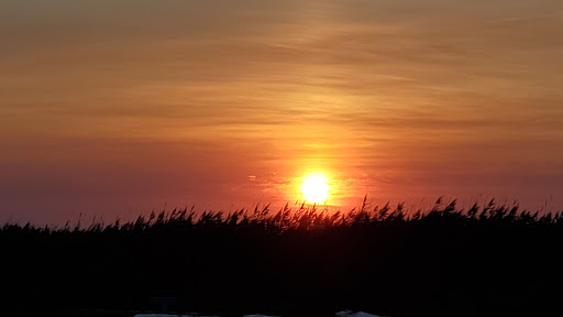 History Museum «Bayshore Center at Bivalve», reviews and photos, 2800 High St, Port Norris, NJ 08349, USA