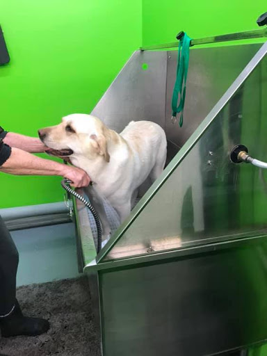 Shopping Mall «The Pointes Shopping Center», reviews and photos, 1040 E Sternberg Rd, Norton Shores, MI 49441, USA