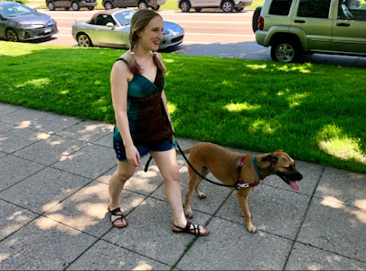Twin Cities Dog Walking & Pet Sitting