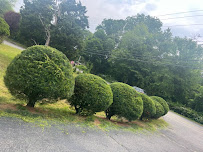 Rosonina Brothers Landscaping - Photo 7 - Car repair in , New Bedford